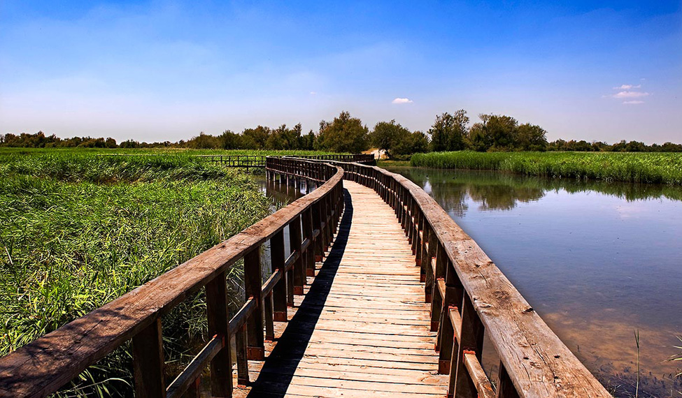Opinión Parque Las Tablas Madrid: Análisis y Experiencias Reales