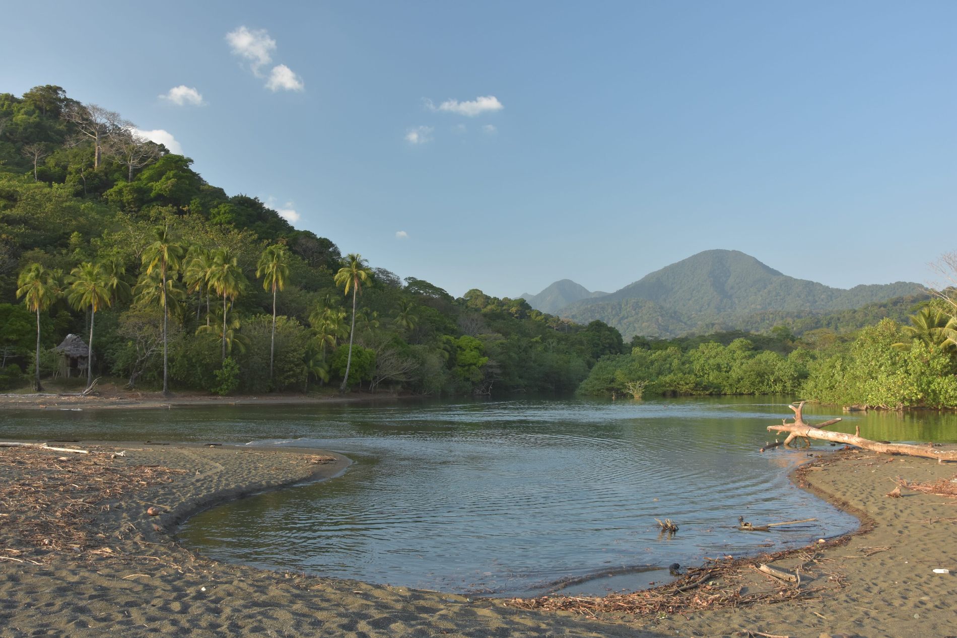 Darién 1 Selva del Darién: Exploración, Biodiversidad y Migración en Panamá